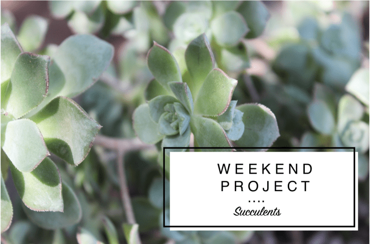 WEEKEND PROJECT No.&nbsp;2