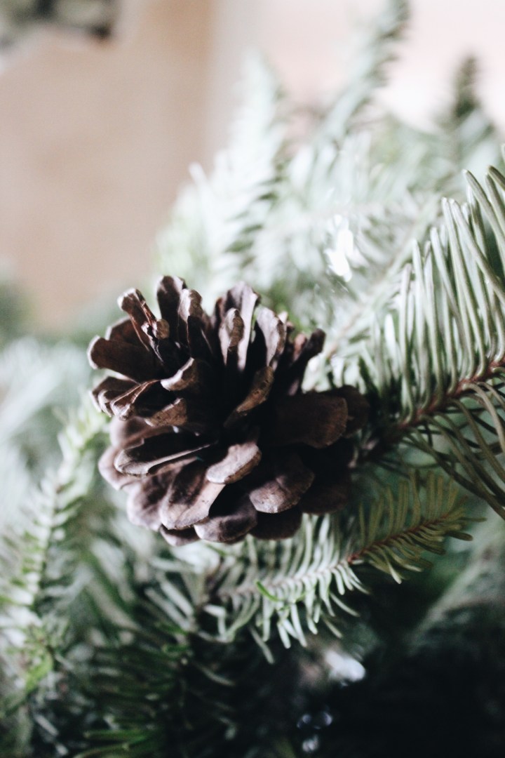 Free Christmas Decorations